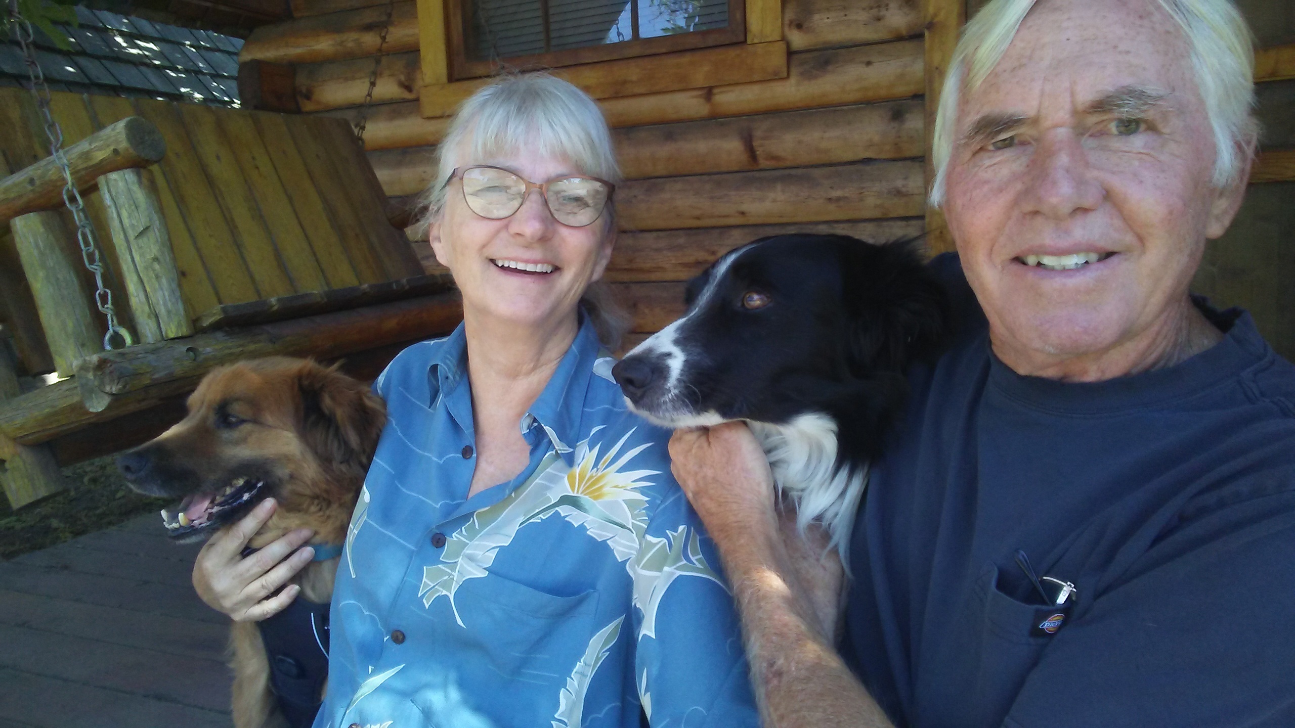 2 dogs 2 old goats