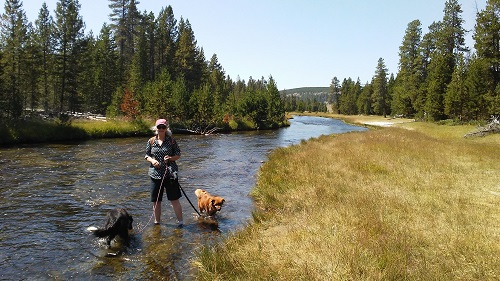 me wading nez perce river 2