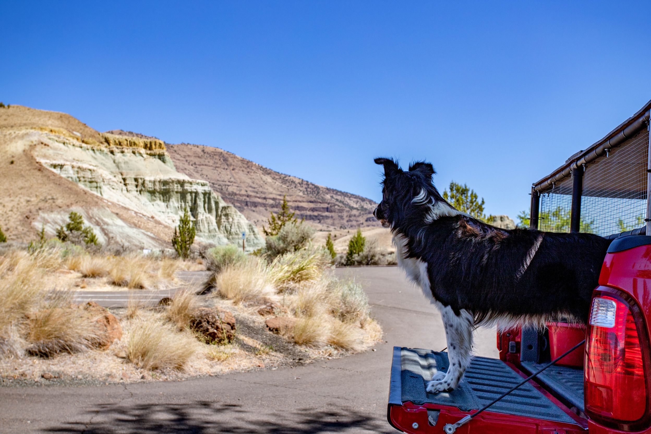 sam blue basin